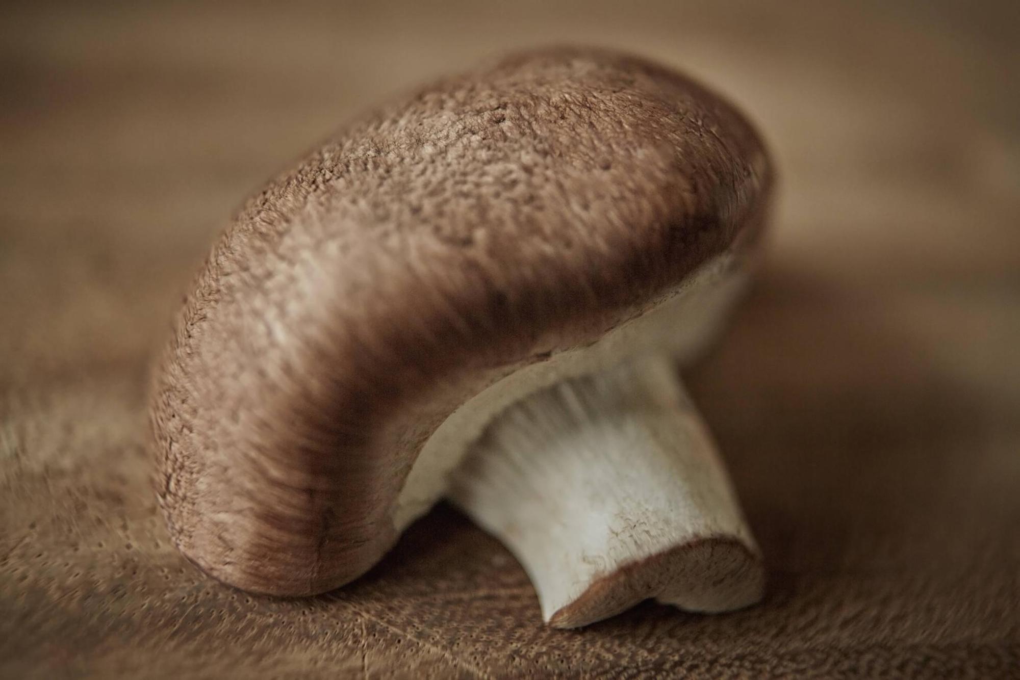 Champignon