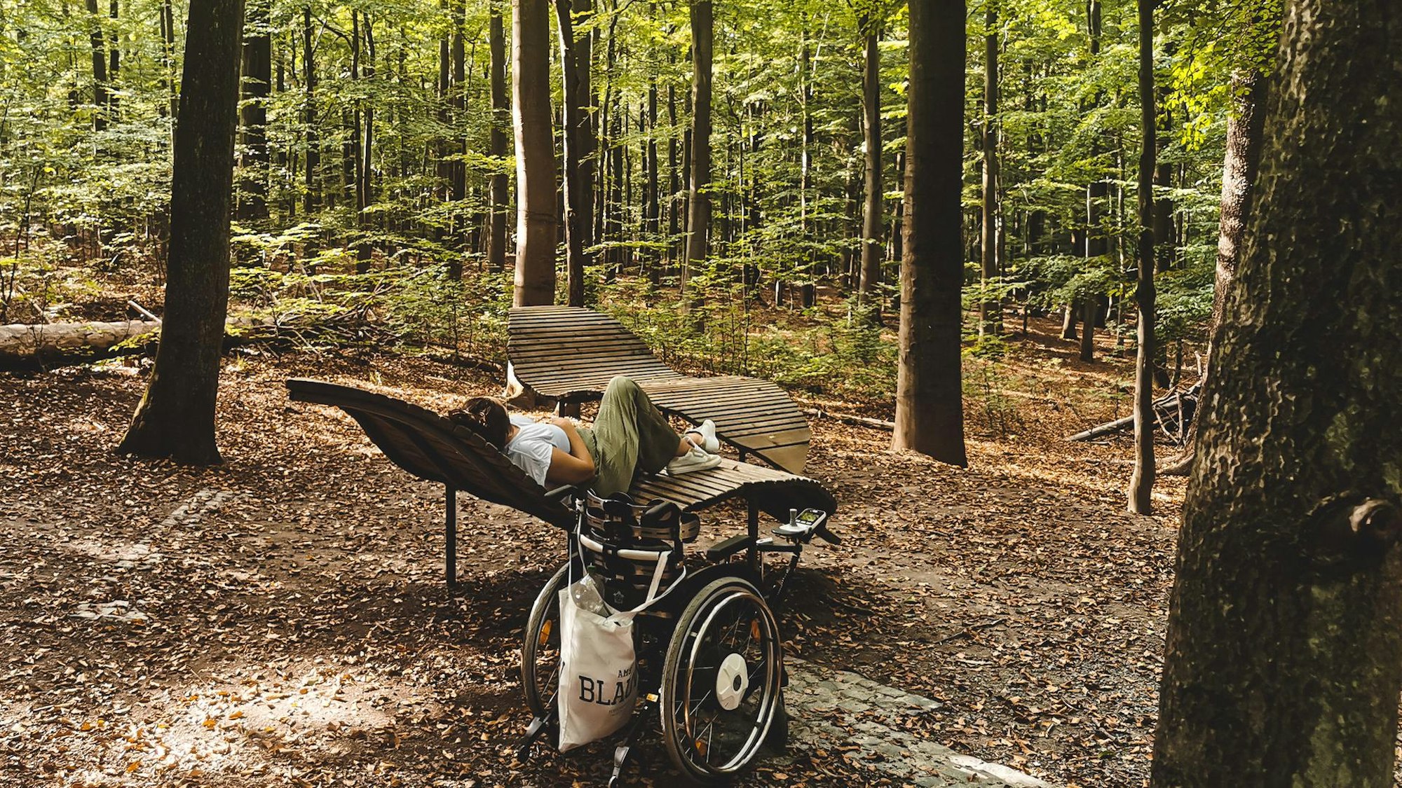 Wilder Kermeter Liege