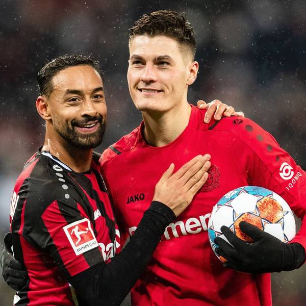 Bayer Bellarabi