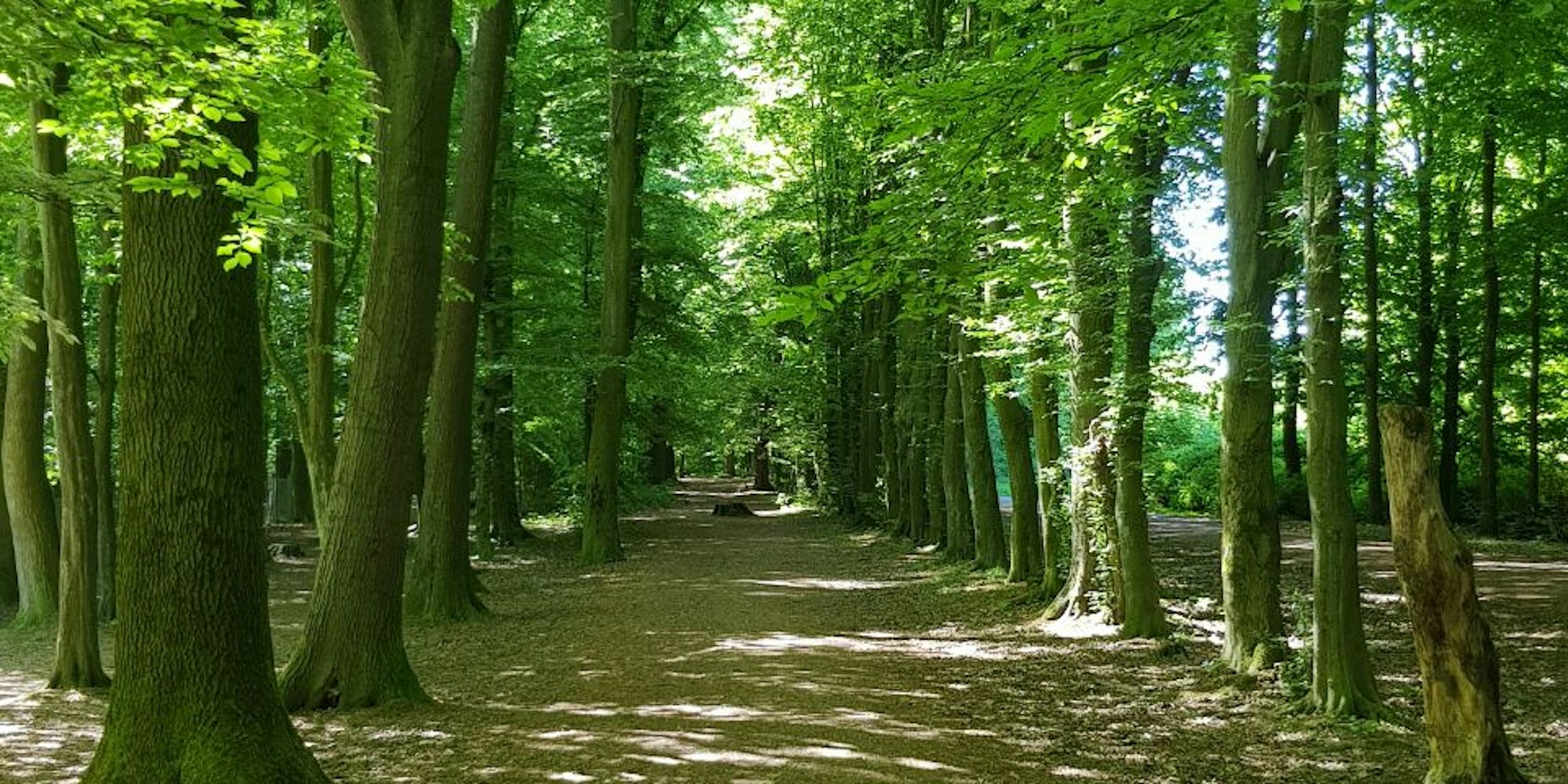 Köln Bild Beate Körrer