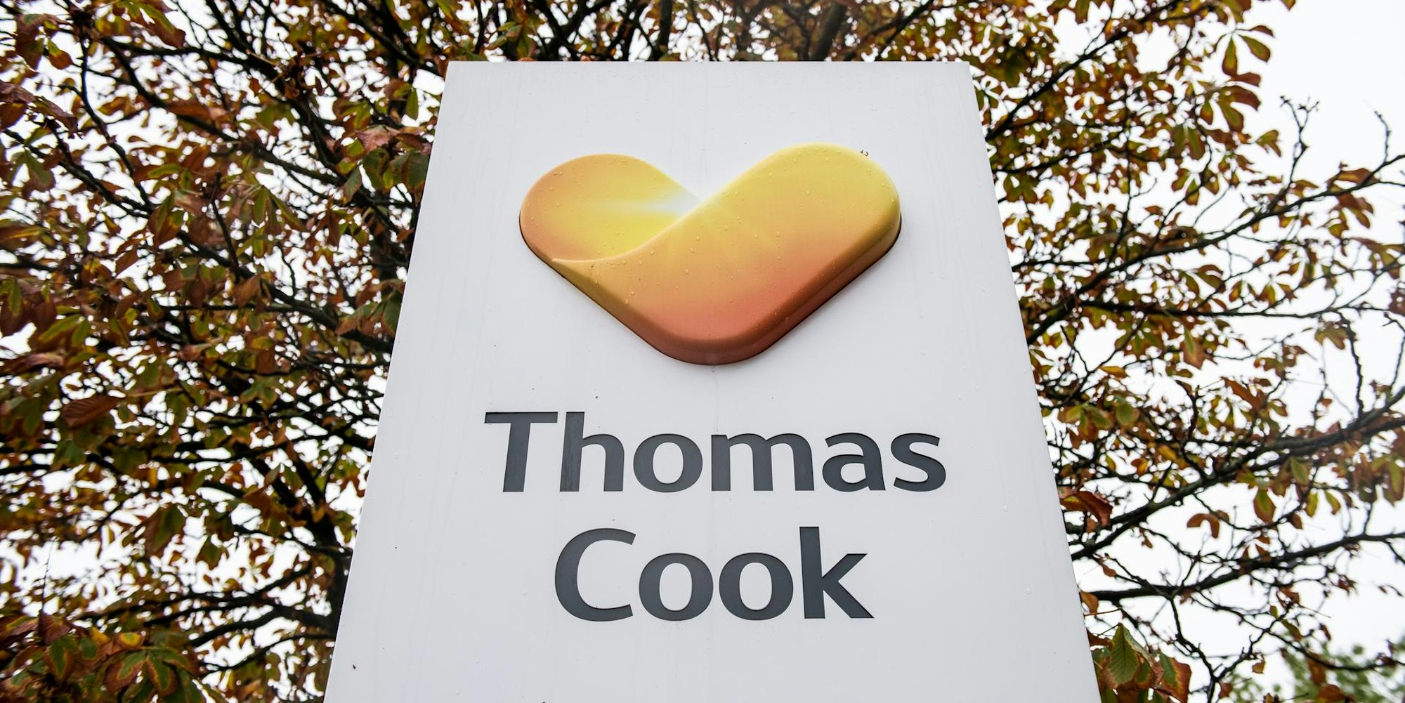 Thomas Cook Logo vor Bäumen