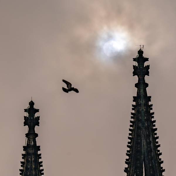 Saharastaub Köln Dom WEISER