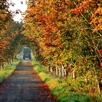 Bauernhof Herbst 708250_original_R_K_B_by_uschi dreiucker_pixelio.de