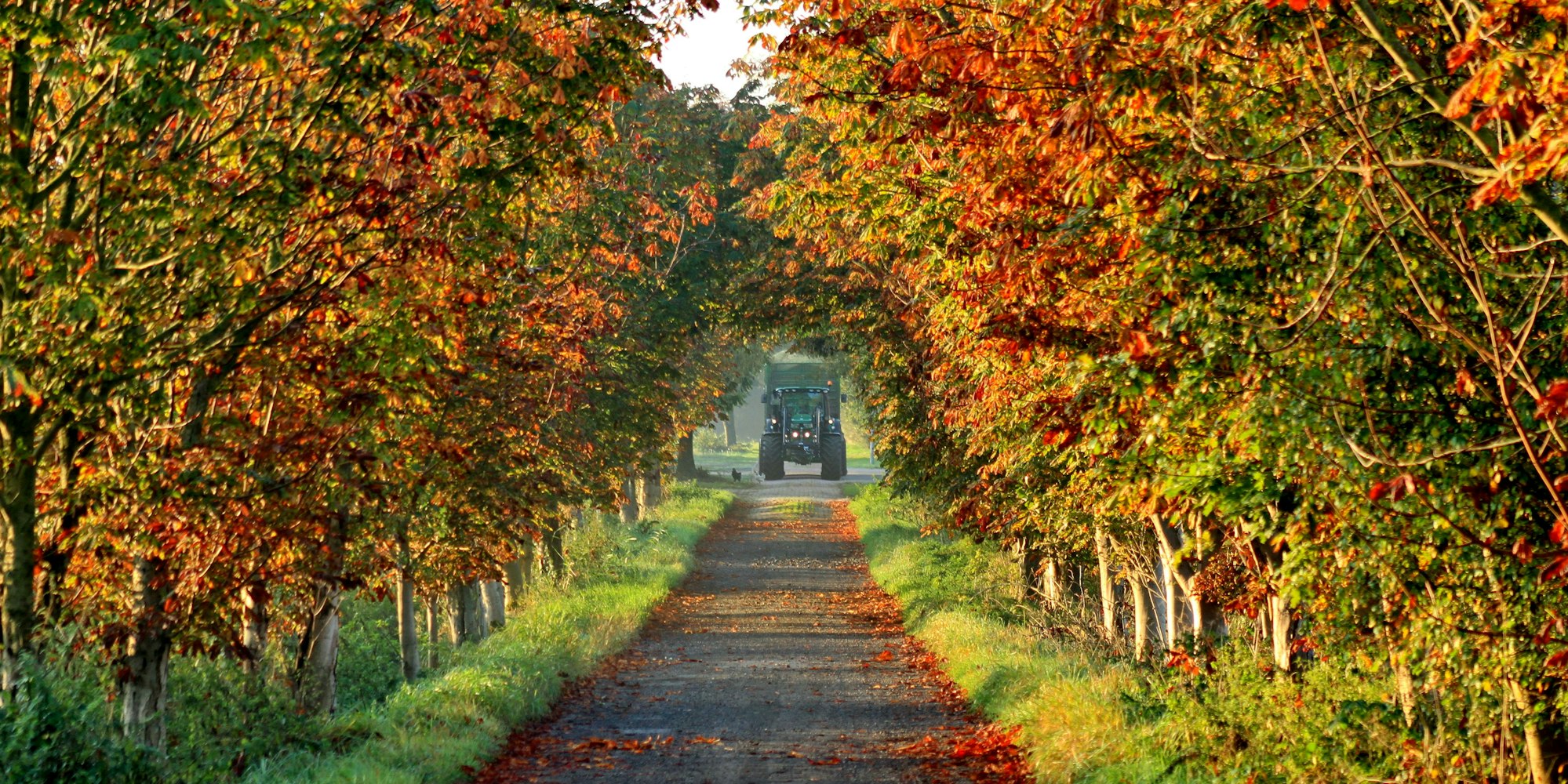 Bauernhof Herbst 708250_original_R_K_B_by_uschi dreiucker_pixelio.de