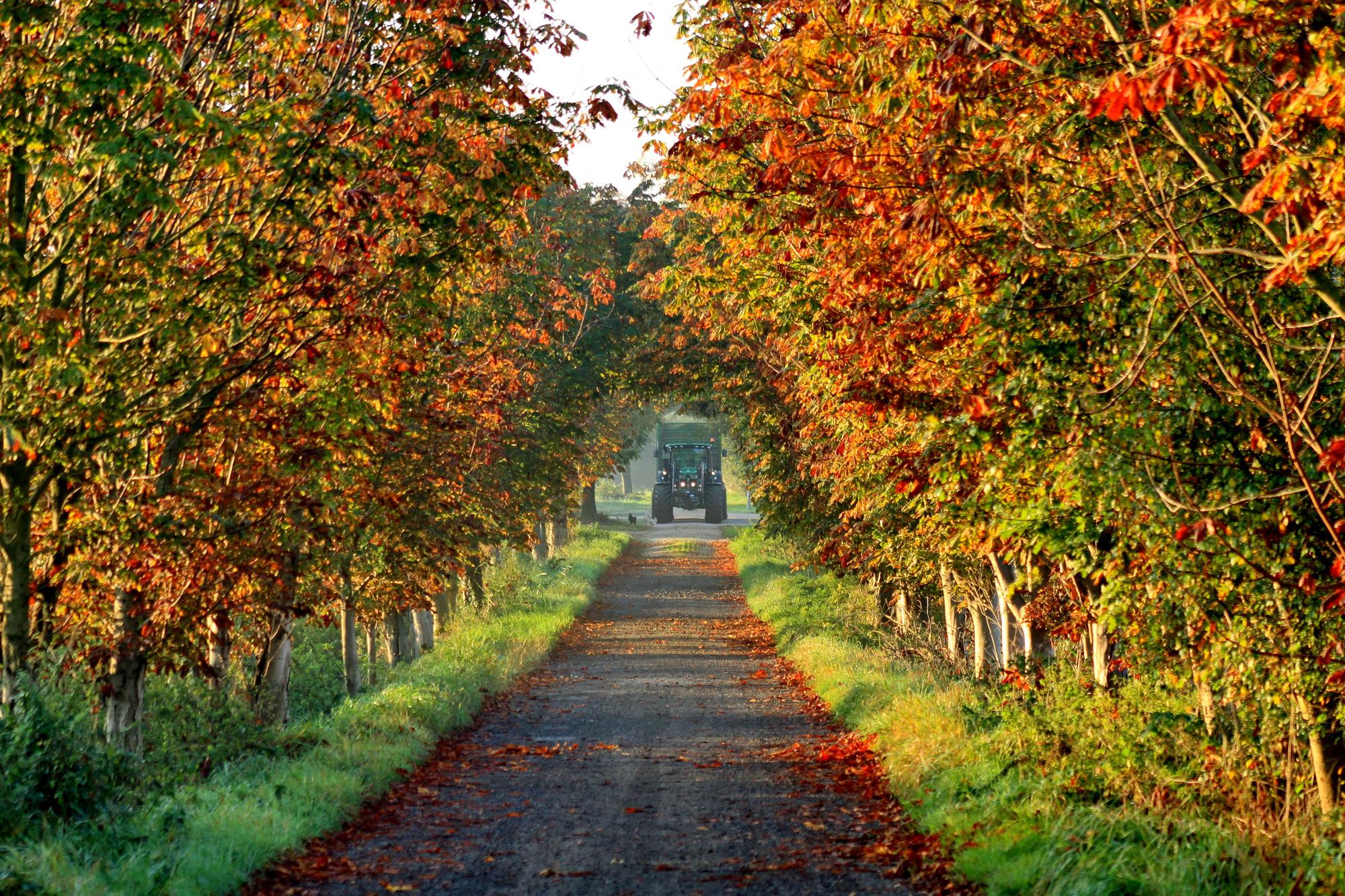 Bauernhof Herbst 708250_original_R_K_B_by_uschi dreiucker_pixelio.de