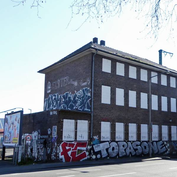 roes-vogelsanger230-002
