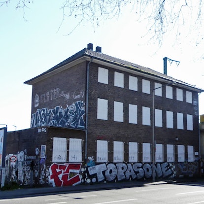 roes-vogelsanger230-002