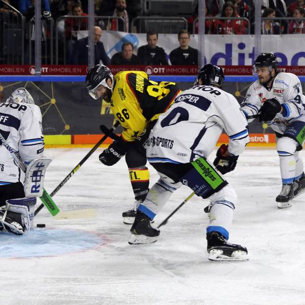 Kölner Haie Straubing