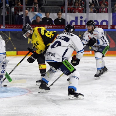 Kölner Haie Straubing