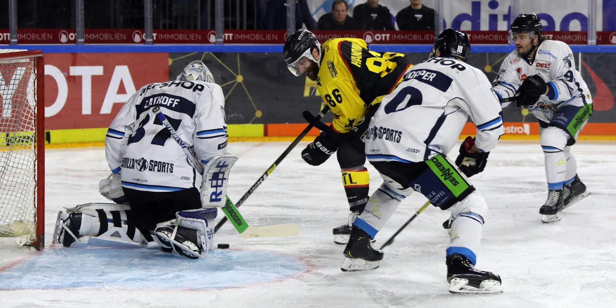 Kölner Haie Straubing