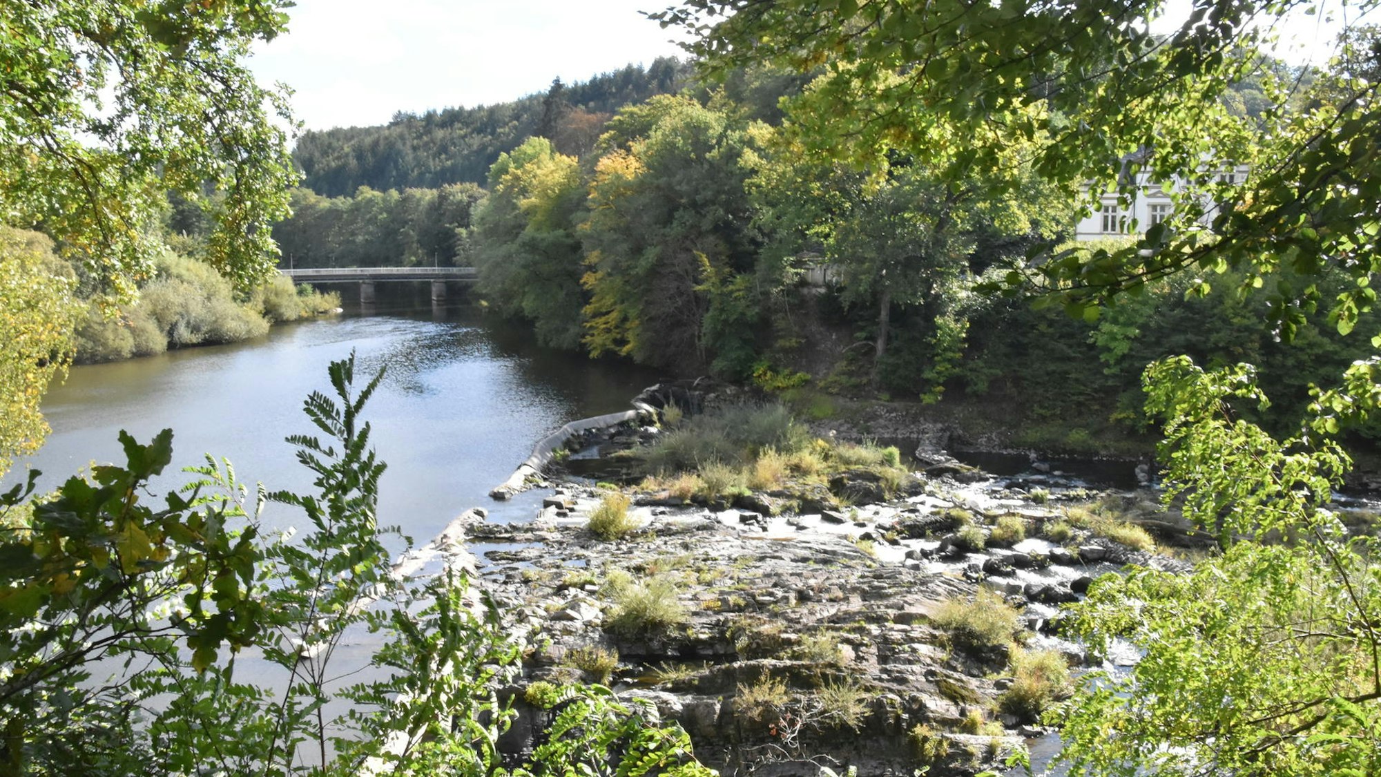 Auf dem Bild sind ein Fluss und Bäume zu sehen.