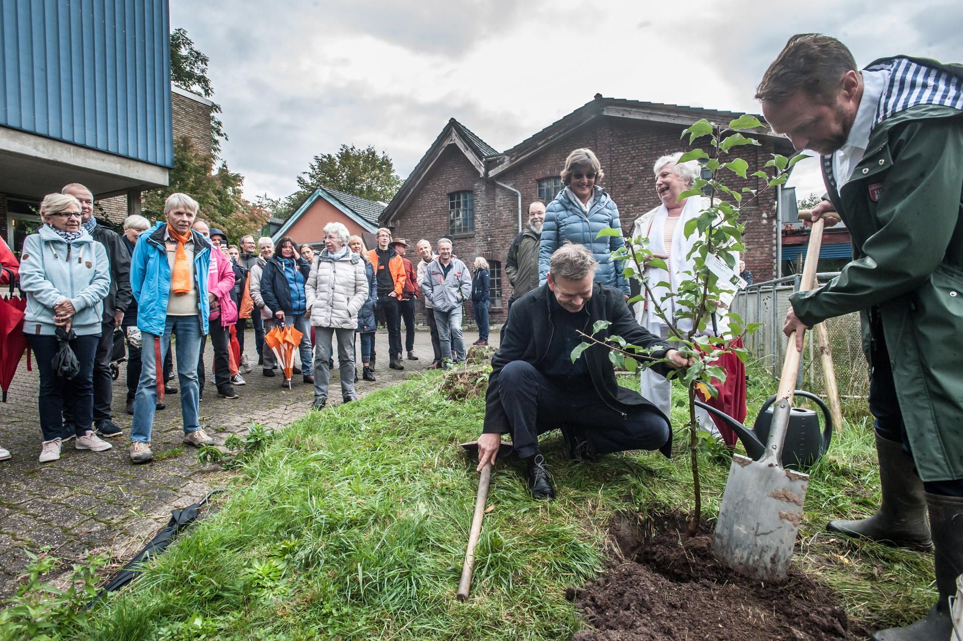 leverkusen-baum-pflanzen-ALF_7414