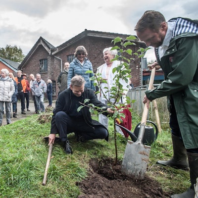 leverkusen-baum-pflanzen-ALF_7414