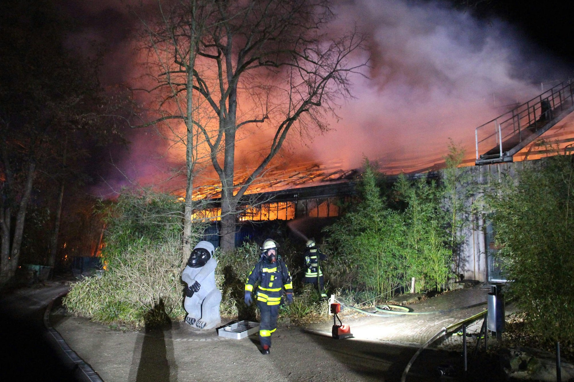 Krefeld Zoo Feuer neu