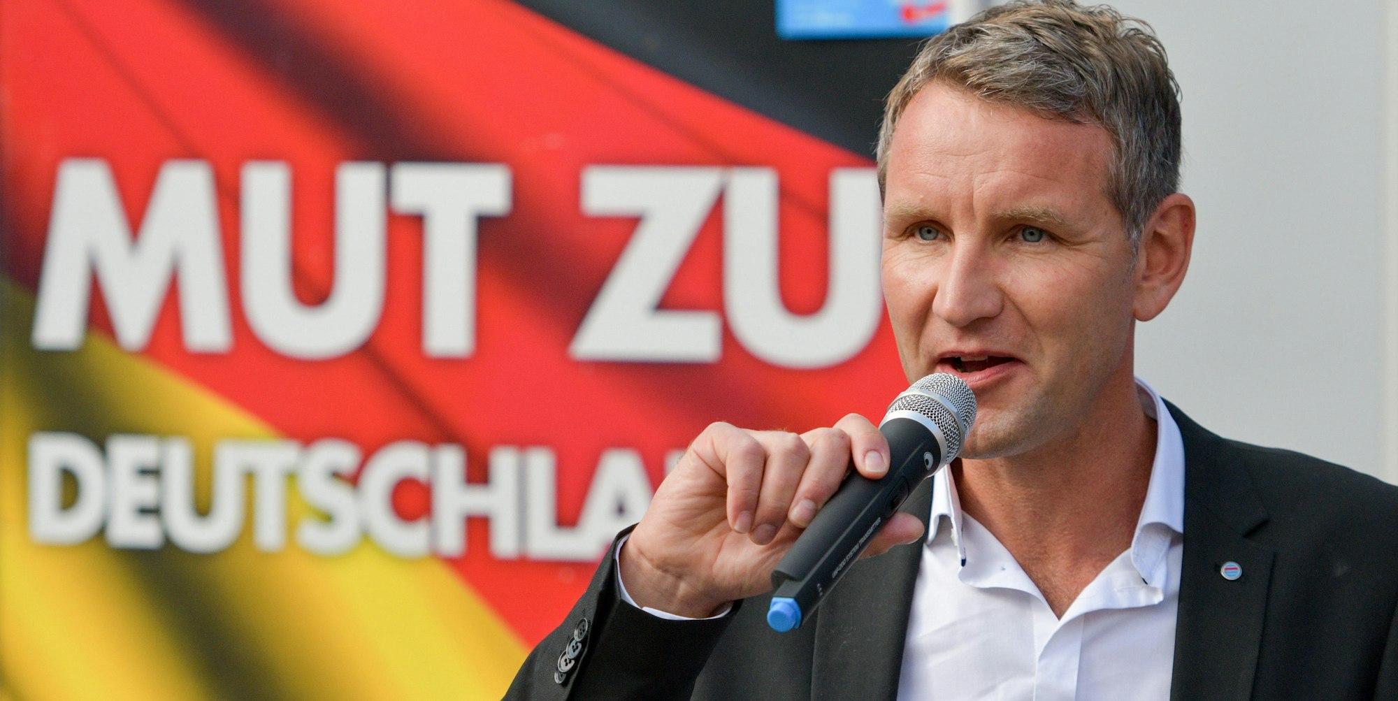 pic höcke