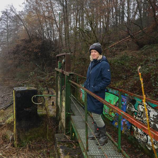 Neuer Inhalt (3)