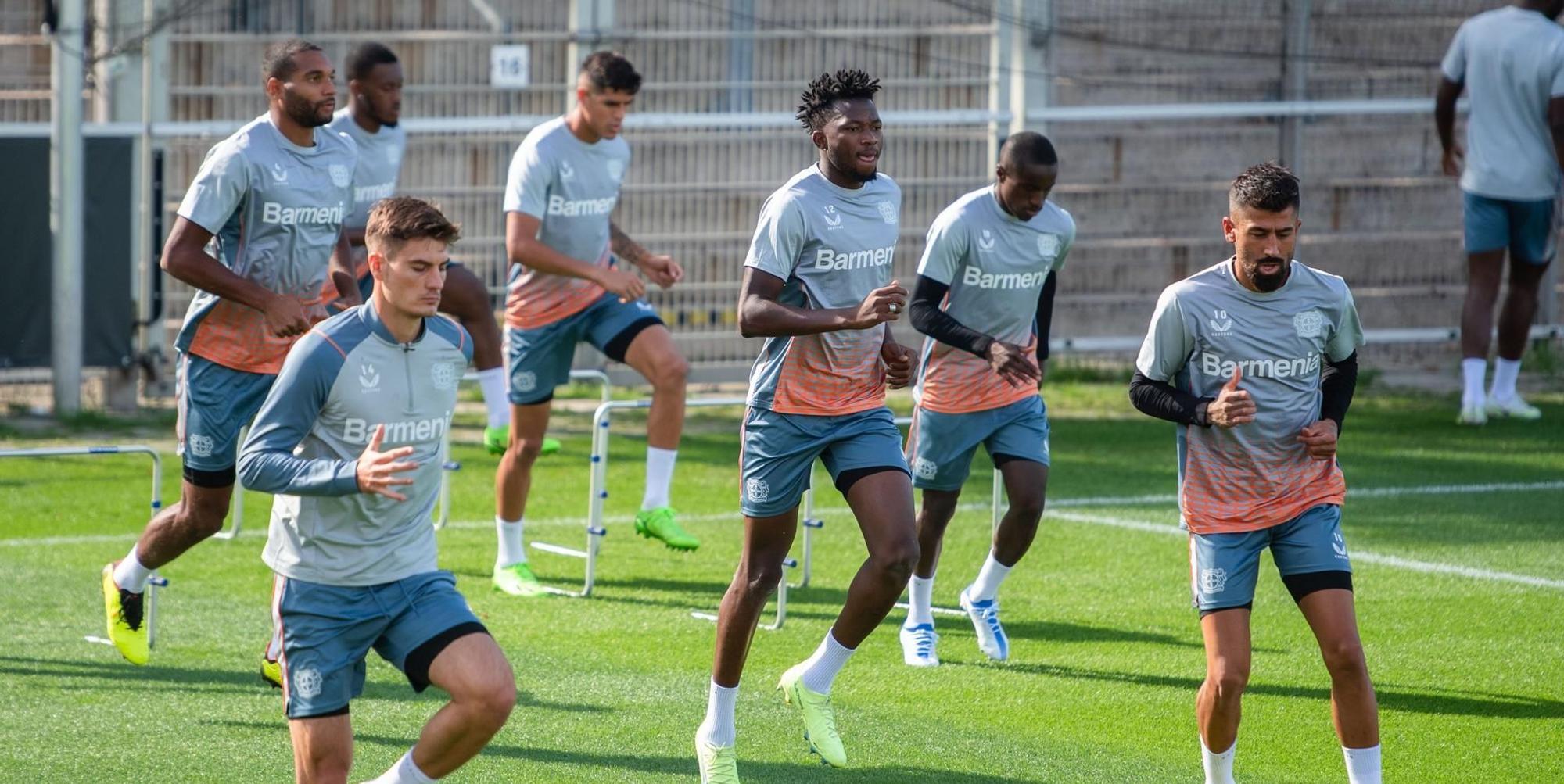 Bayer Training CL