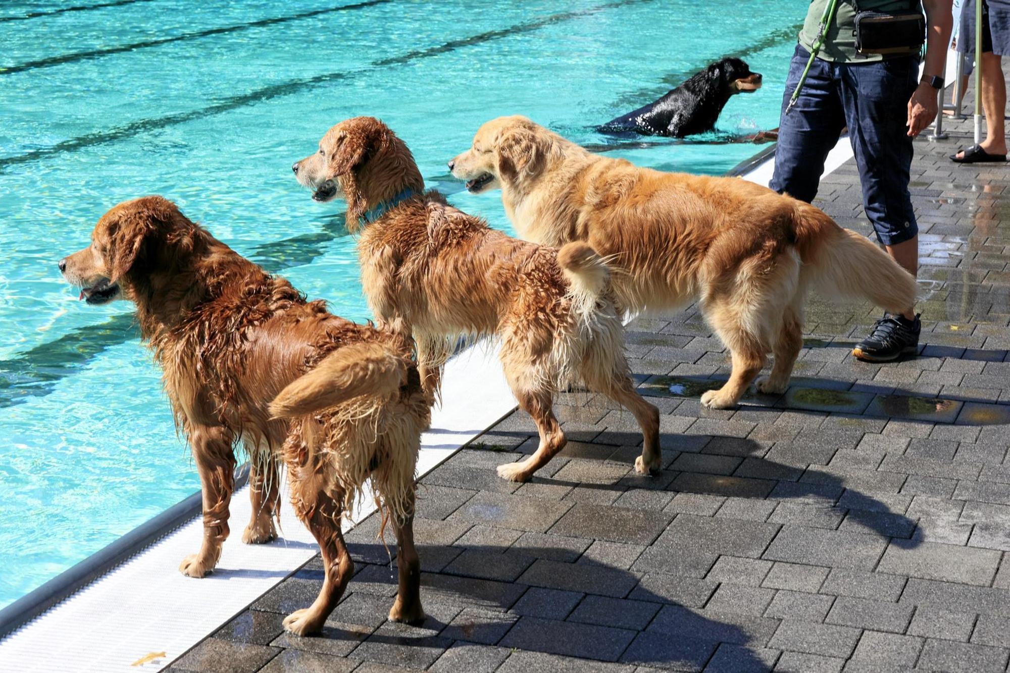 20220904_MW_LevDog 012_1