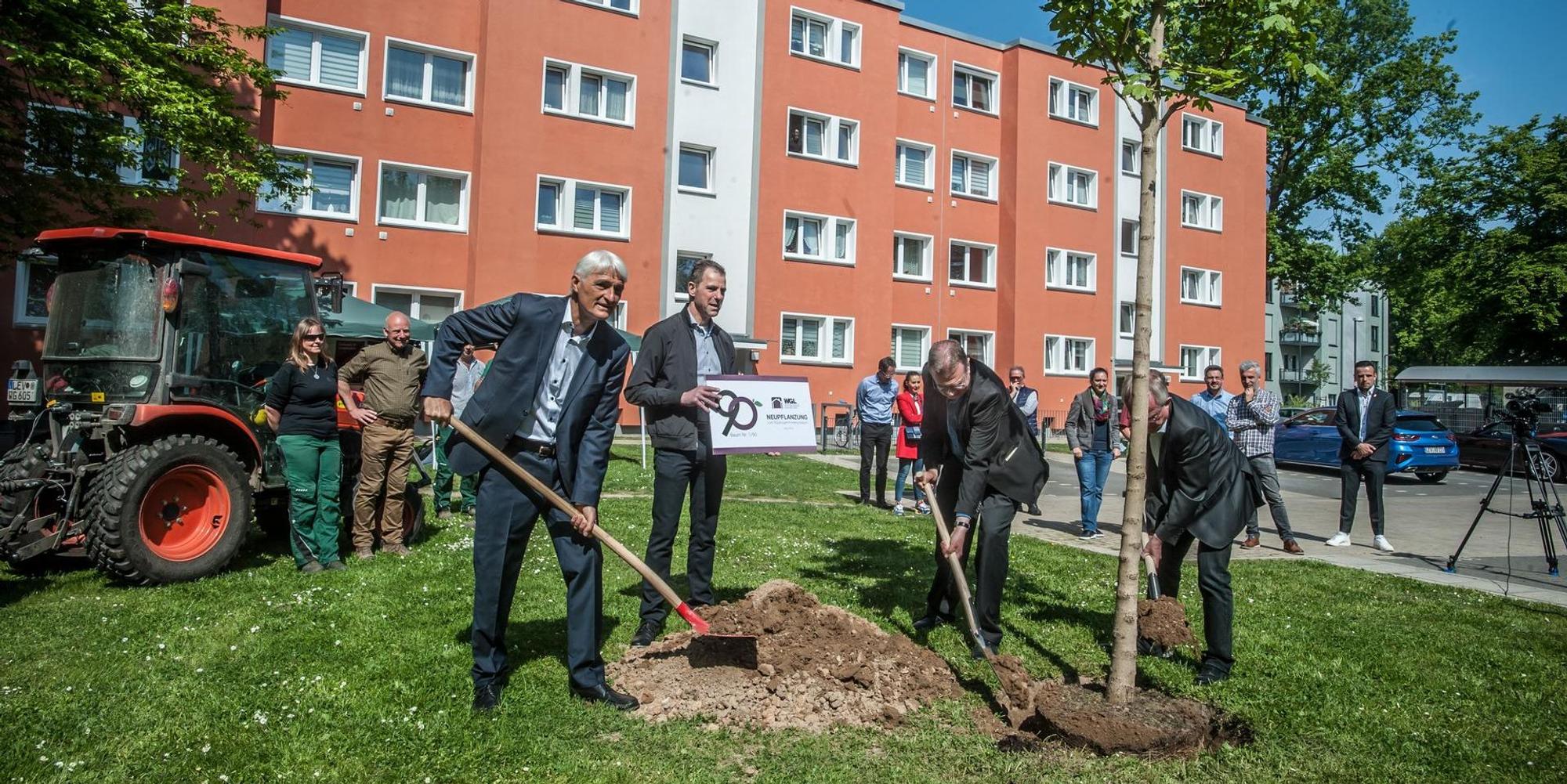 lev-wgl-bäume