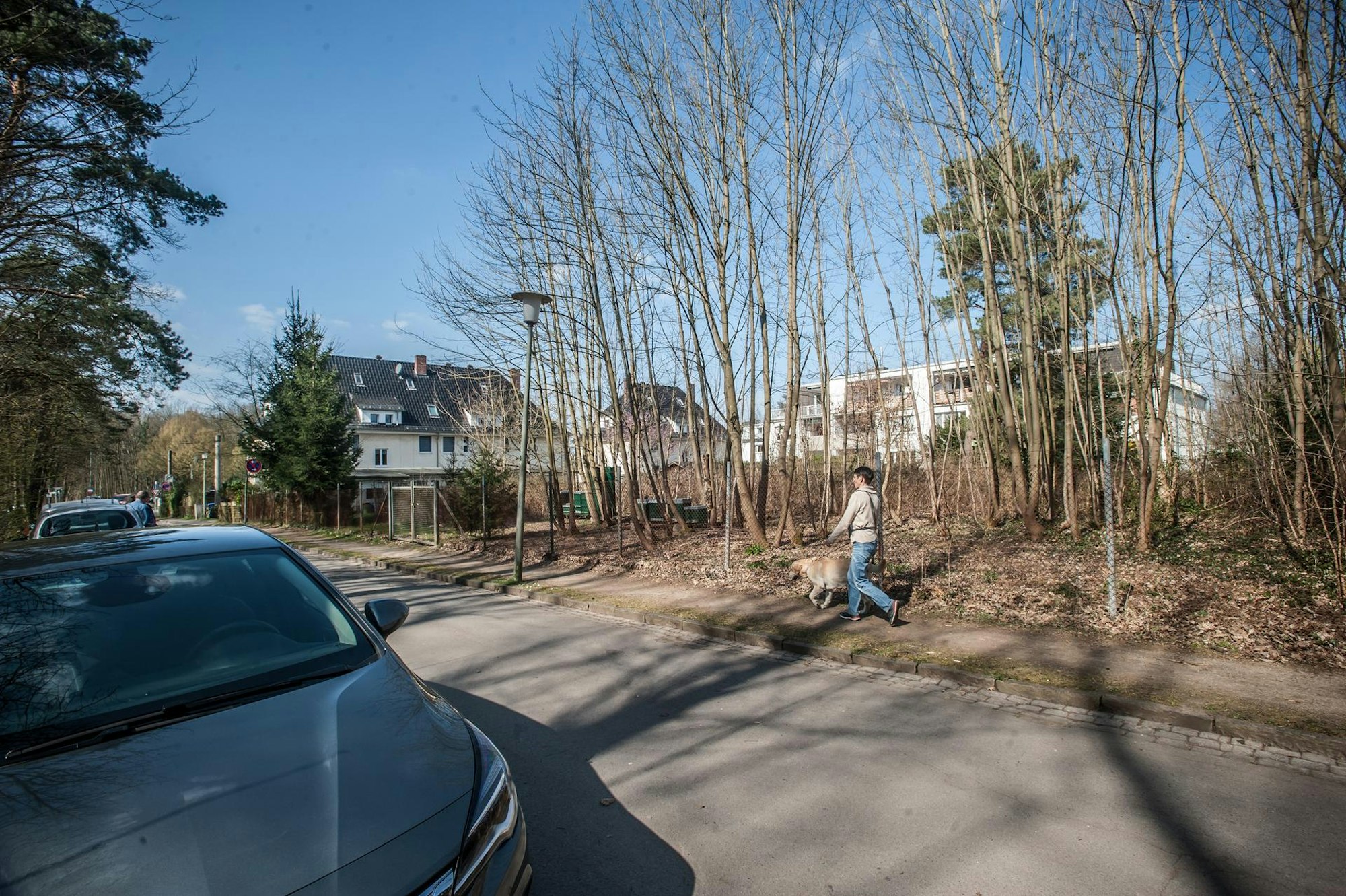 nittumer_weg_rar_rle_03252022ALF_3564