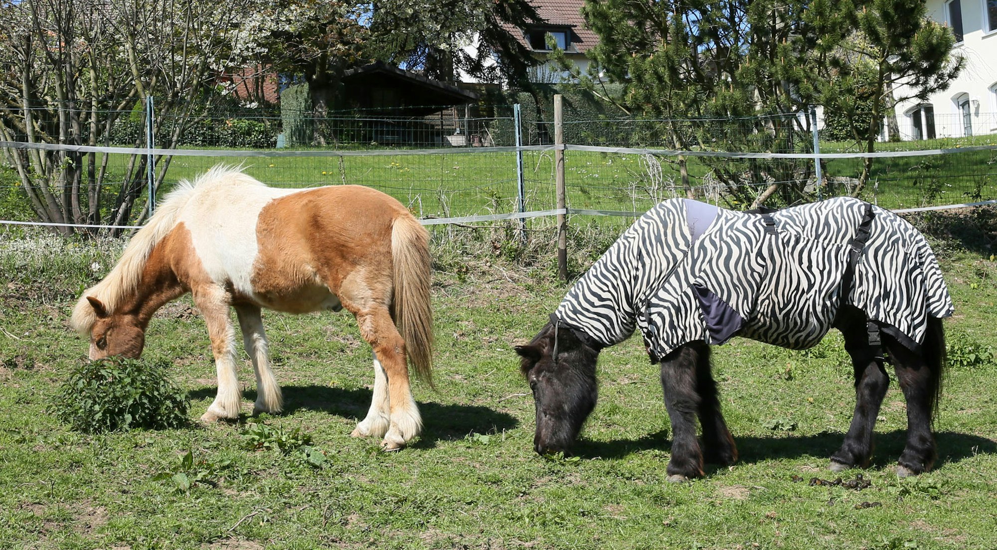 WanderungNiedecken_05