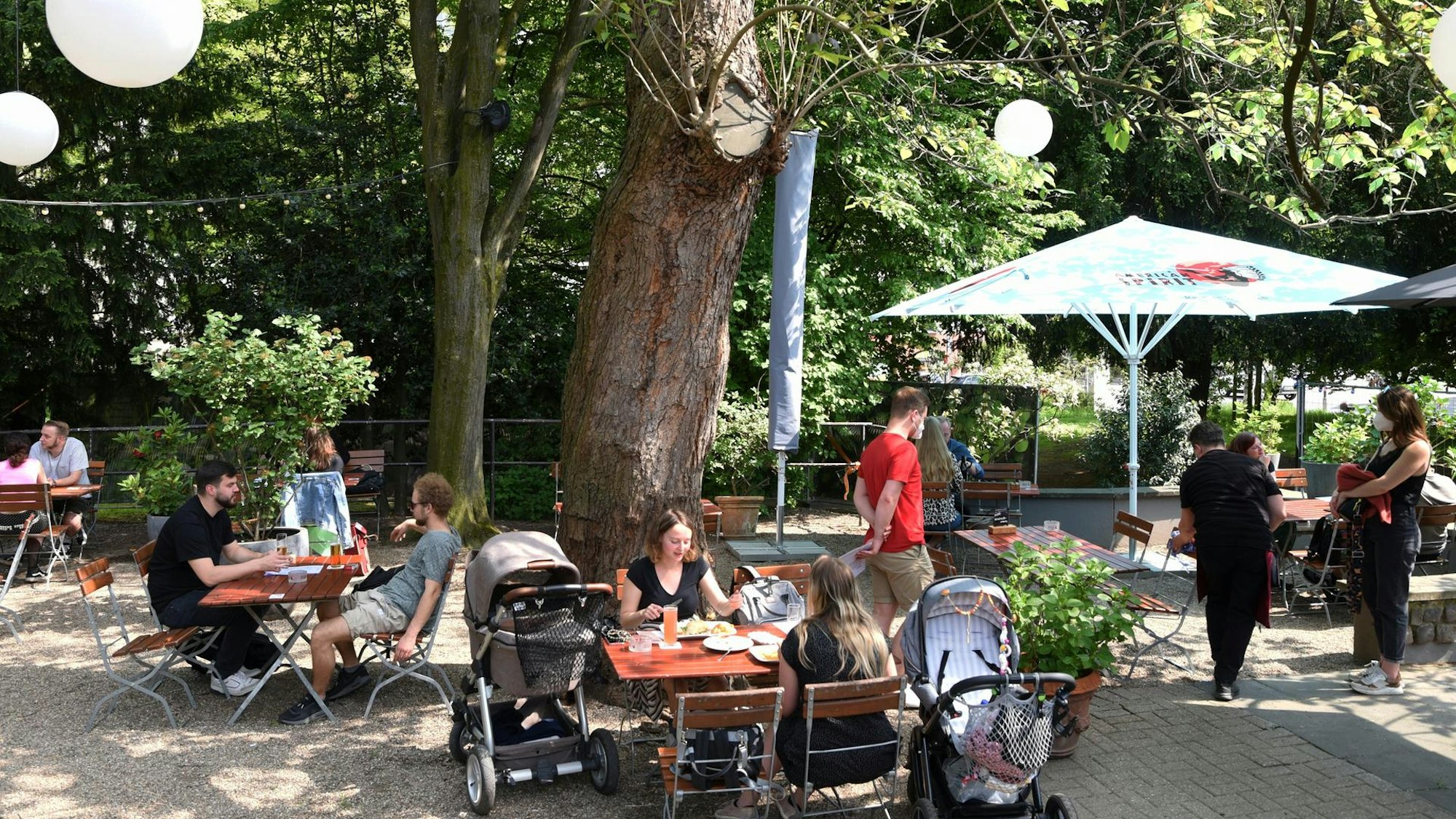 Tische und Stühle stehen unter Kastanien im Biergarten.