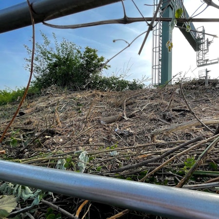 Erftstadt Rodung Bahnhof (1)