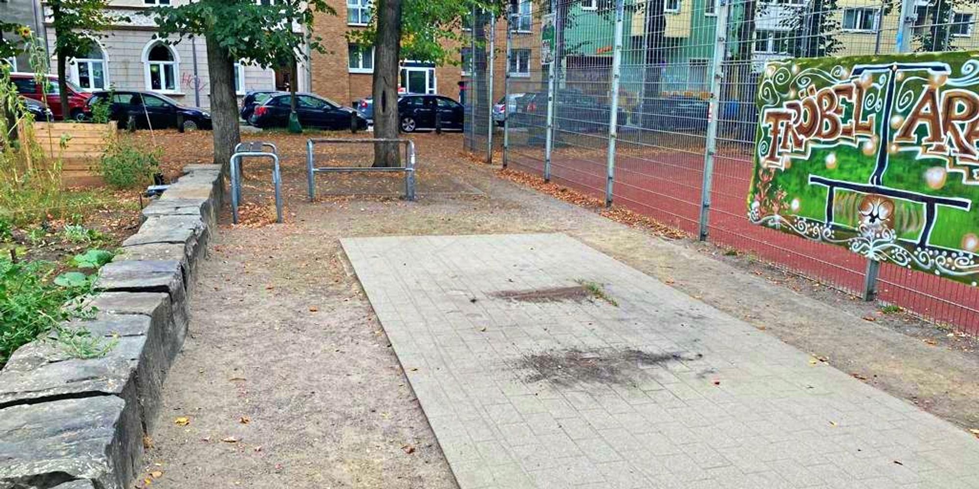 Neuer Inhalt (3)