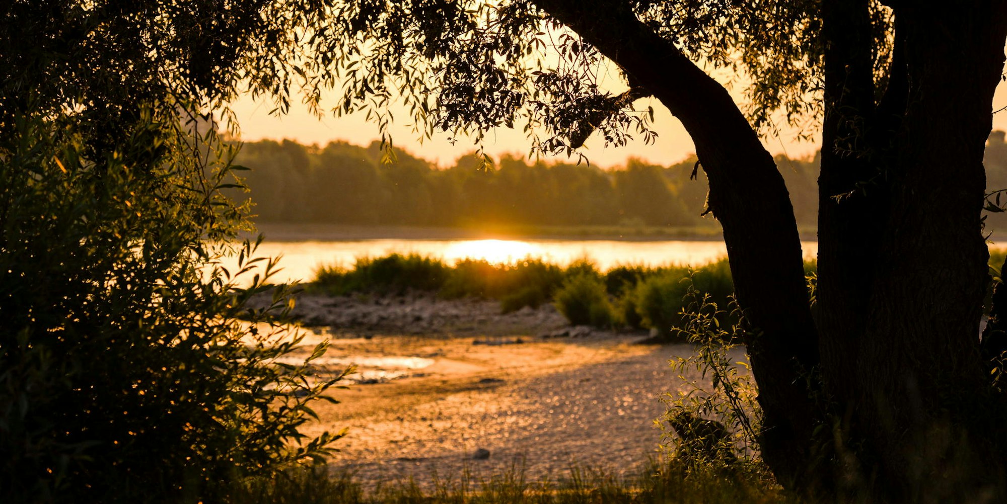 170622_uw_Rodenkirchen_006