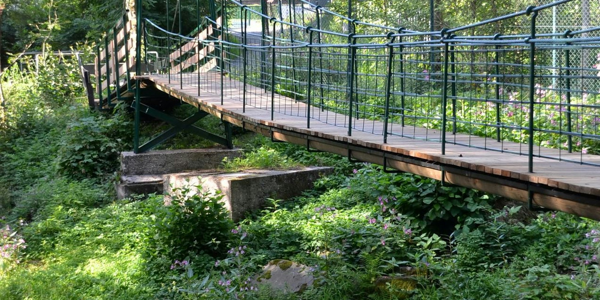 Hängebrücke_Morsbach