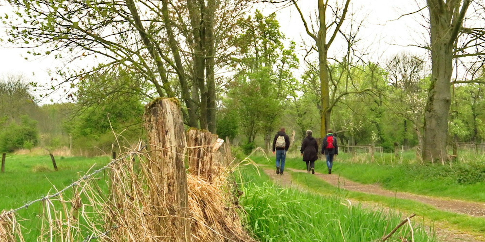 wandern für langschläfer loga