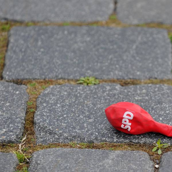 SPD neu dpa
