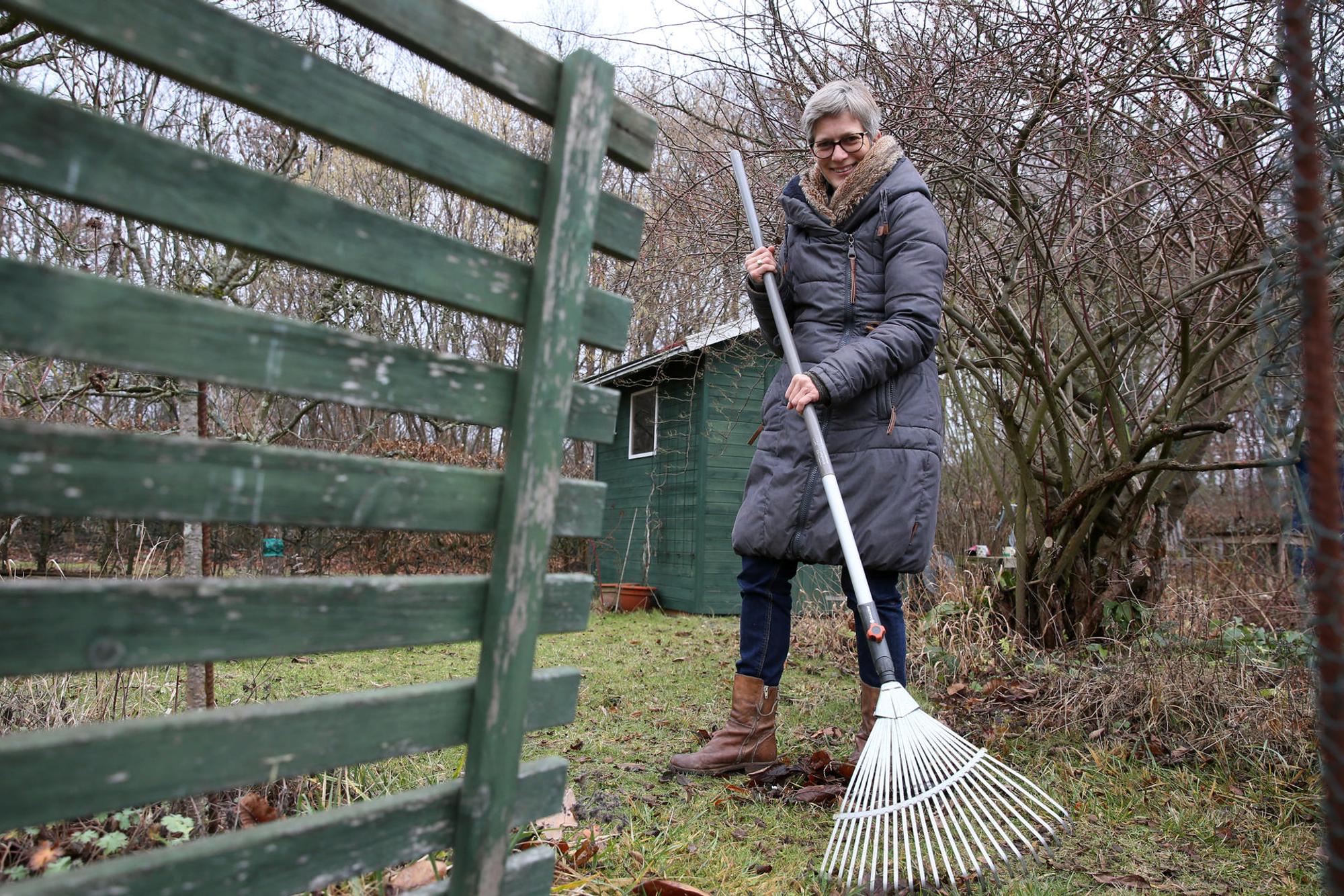 Gartenkalender 2019 Januar Harken