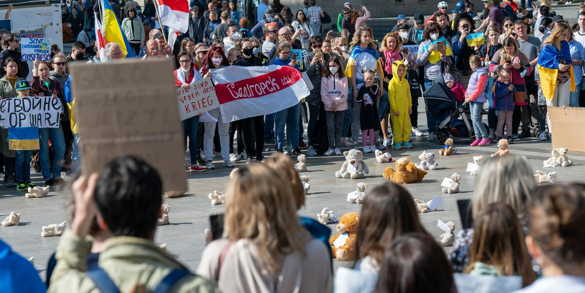 Teddys Roncalli Reker 3