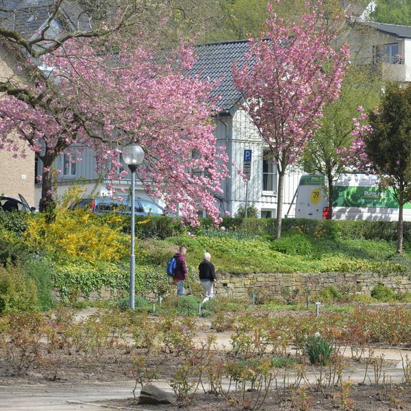 Rosengarten-Park