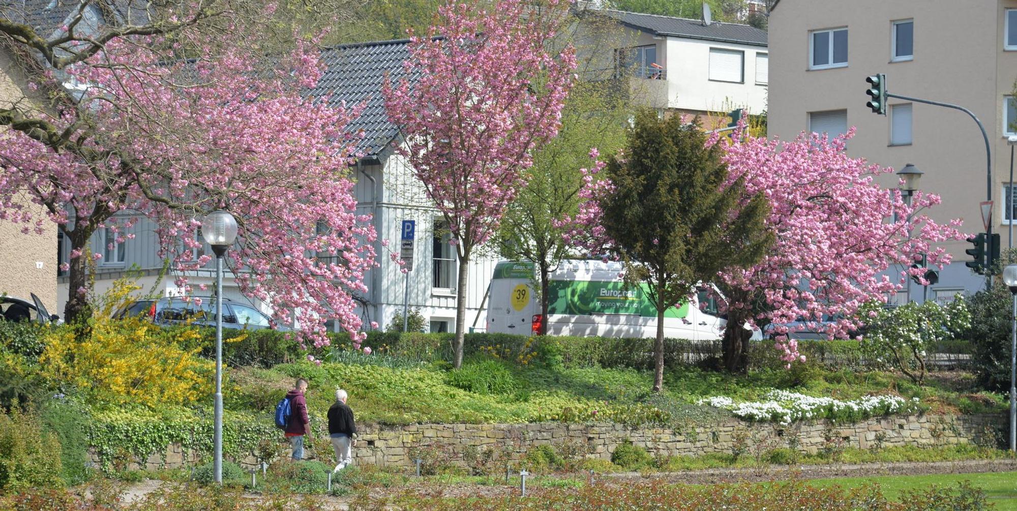 Rosengarten-Park