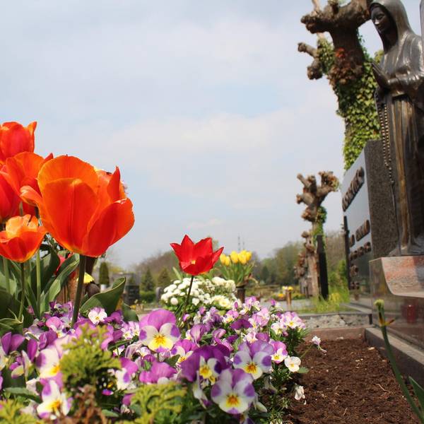 Bergheim_Friedhof_St._Remigius_(7)