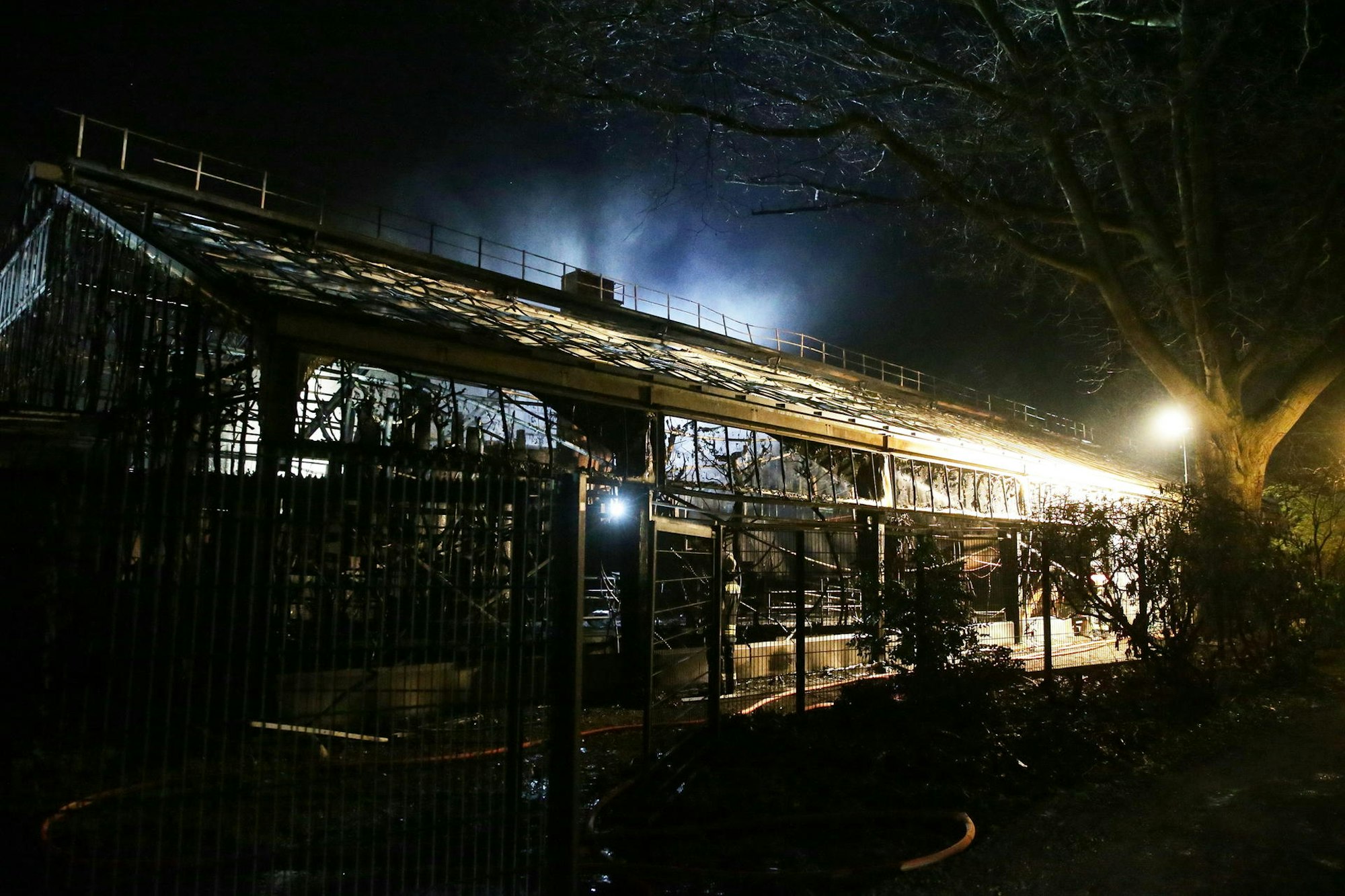 Krefeld Zoo Feuer
