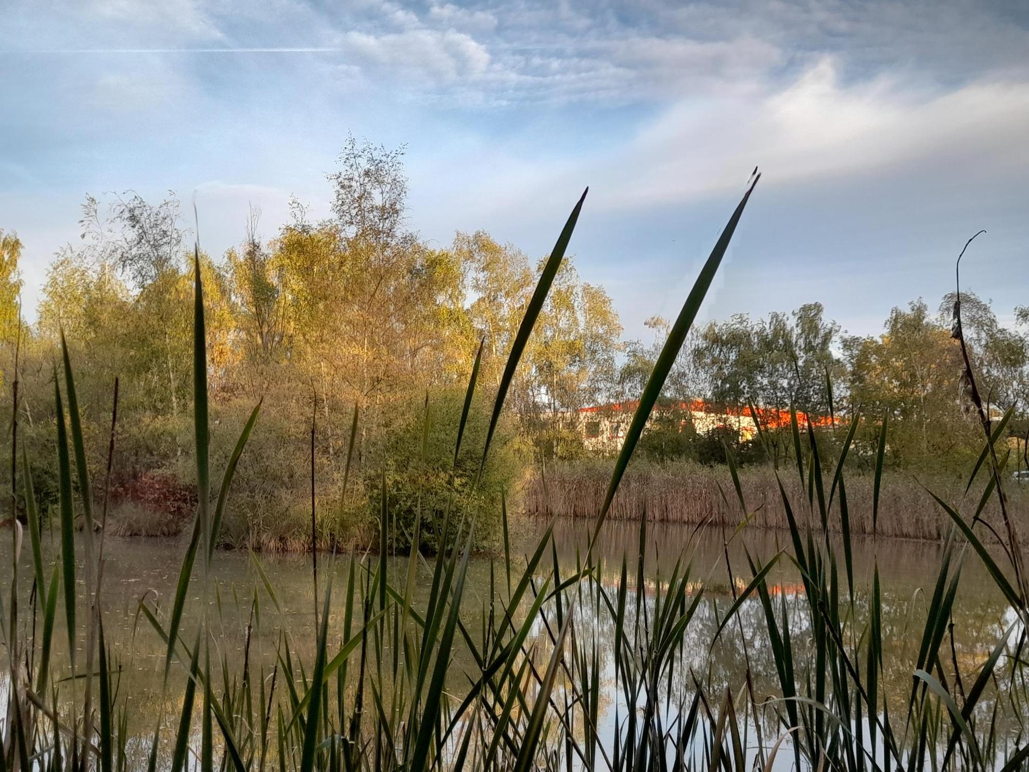 bes-golfplatz-neu-06