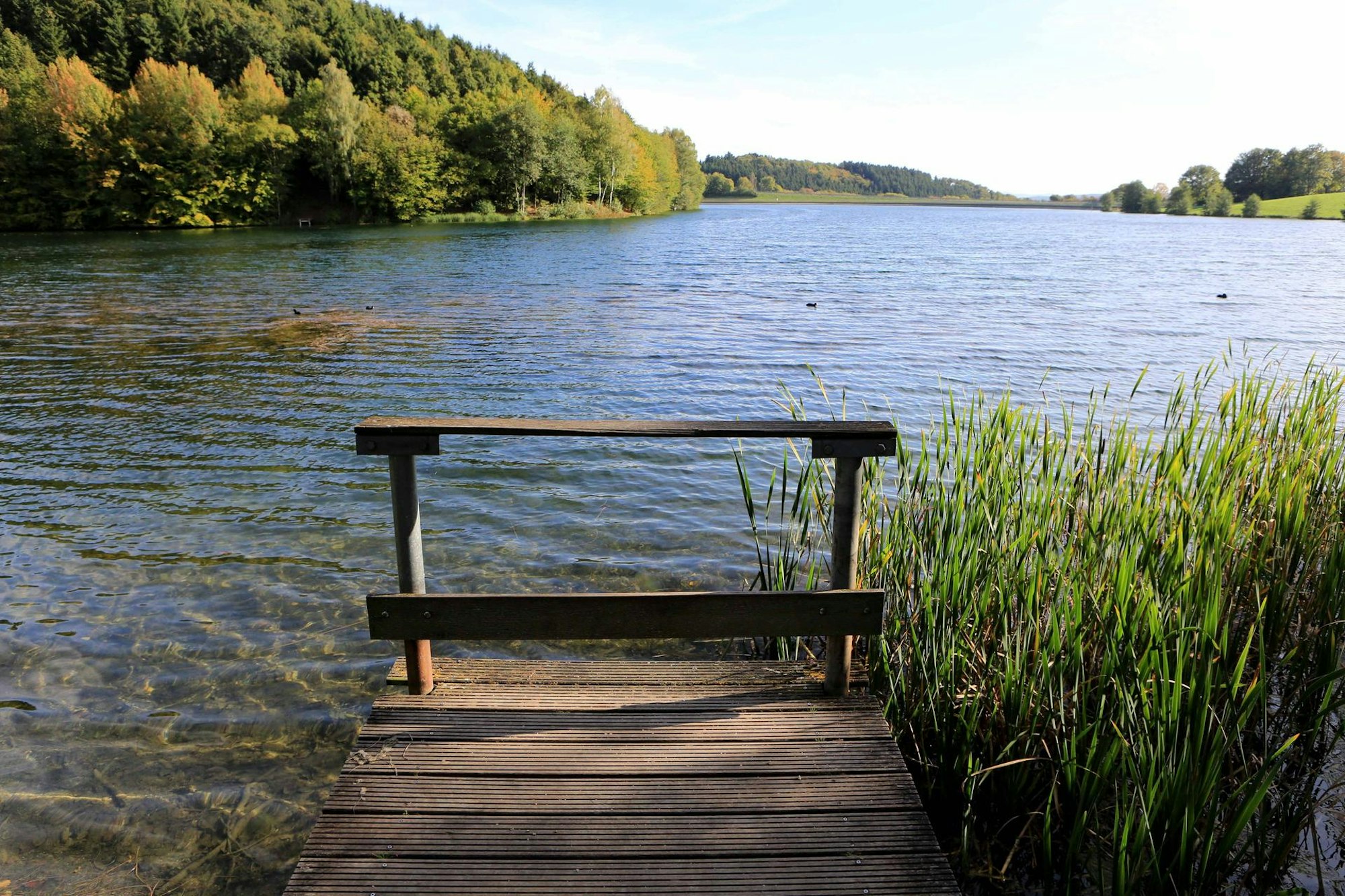 impressionen-vom-freilinger-see-in-der-eifel-imago