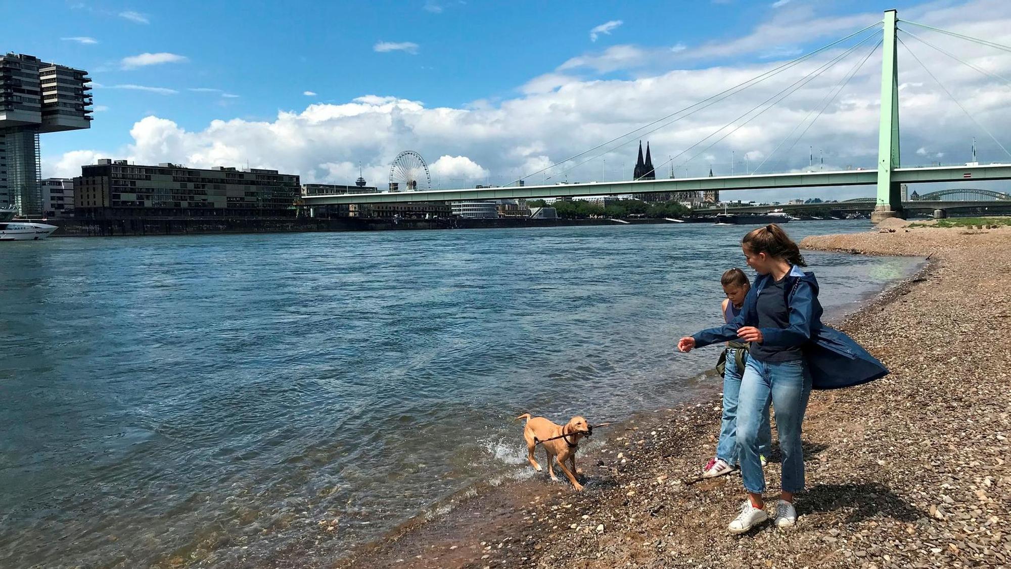 Ein Spaziergang über die Pollerwiesen bietet viel Platz und wunderschönes Köln-Panorama kostenlos dazu.