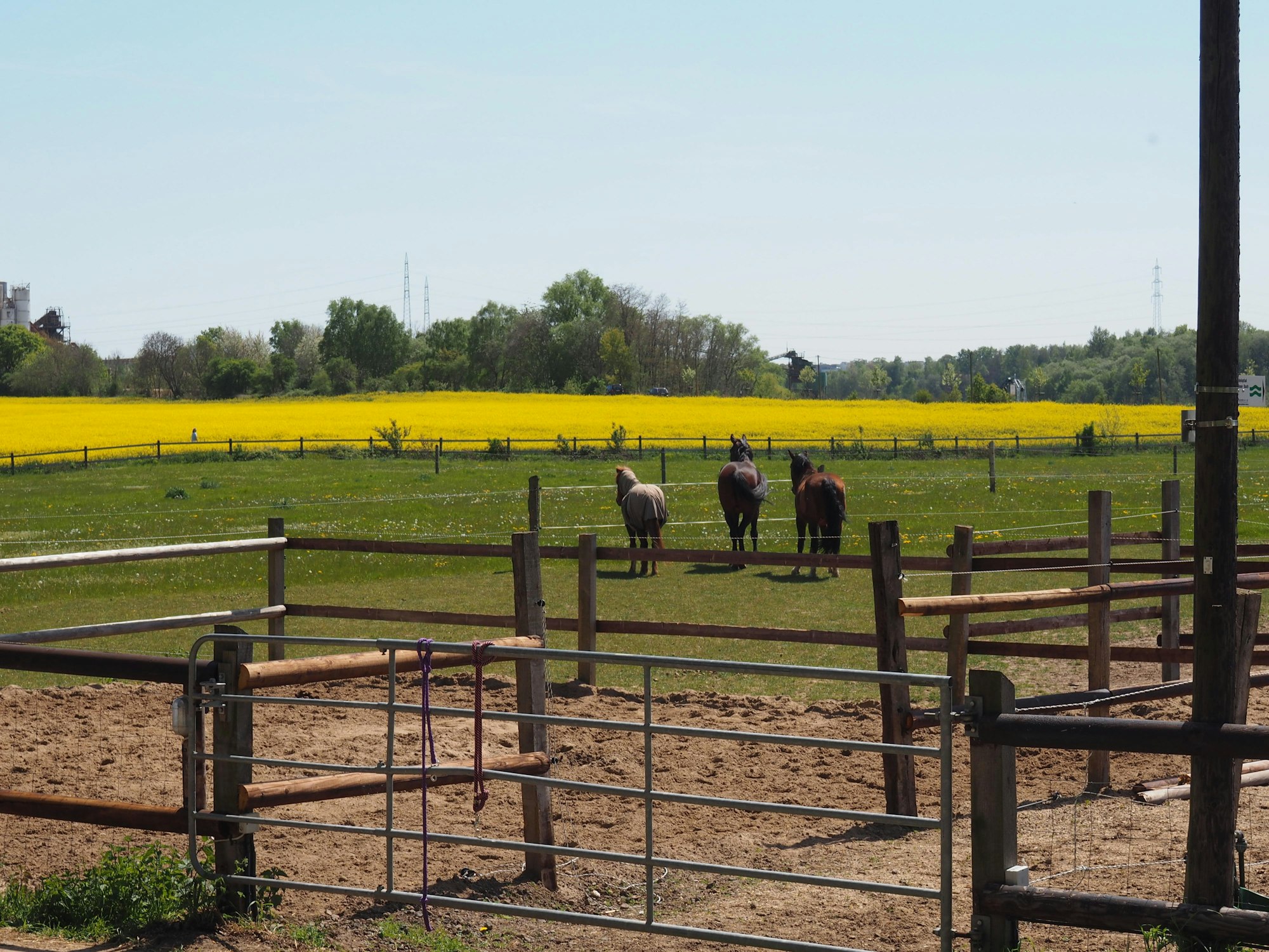 Radtour_Pu_D_K_III_25052016