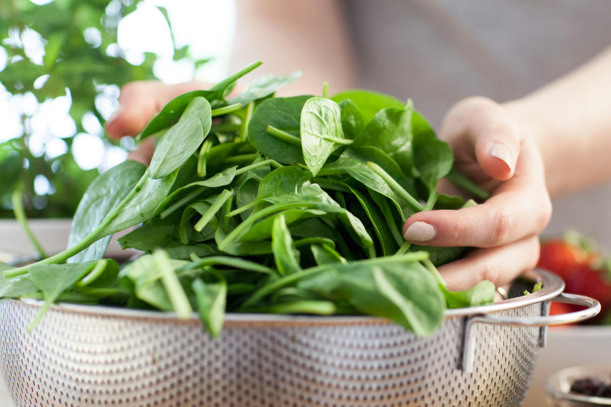 Grüner Salat wird gewaschen