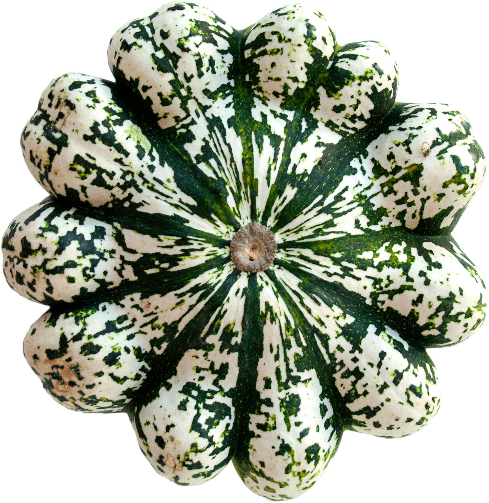 pattison-intakt-_DSC7086