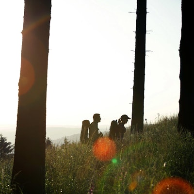 Rothaarsteig im Rothaargebirge
