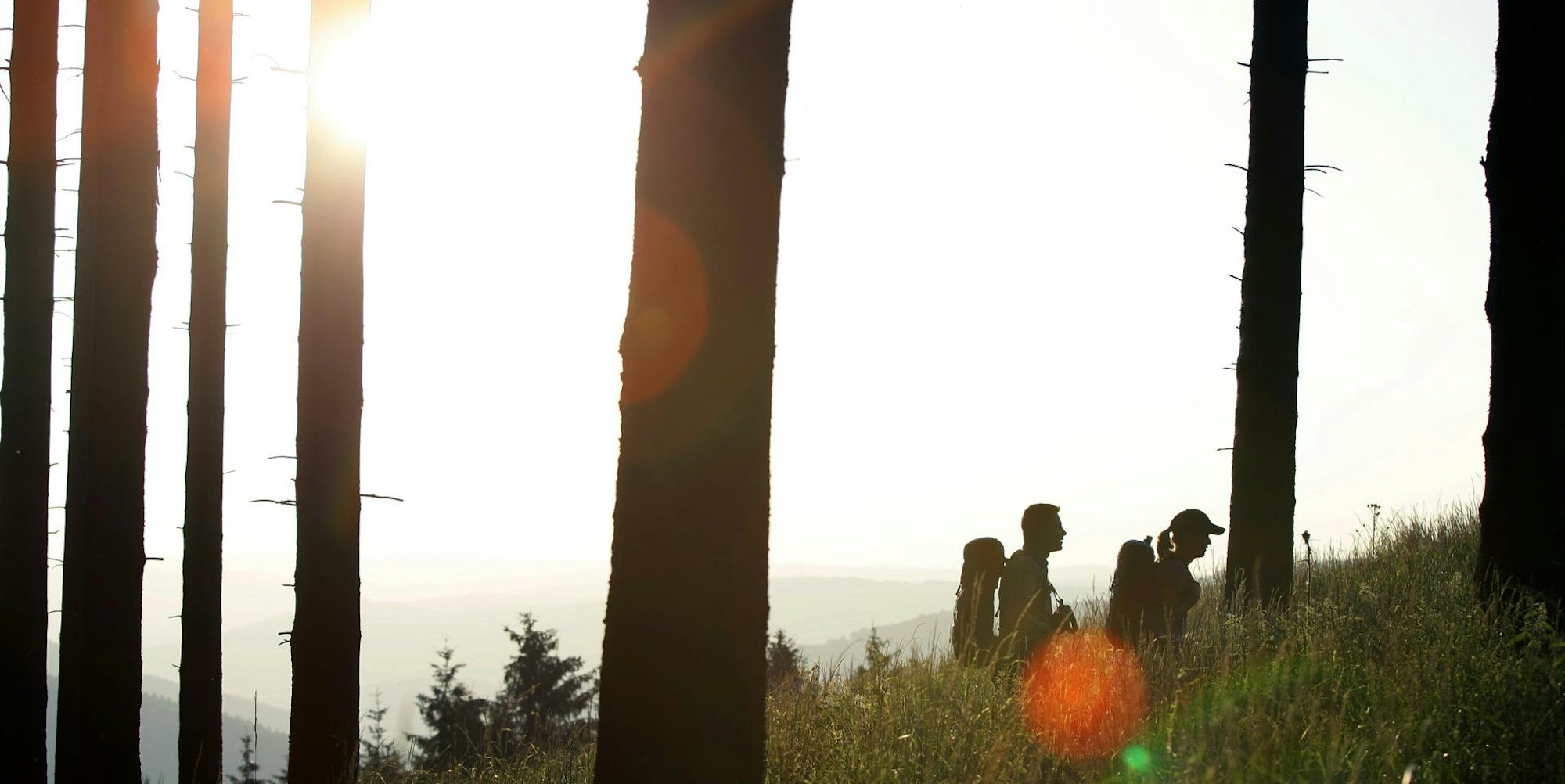 Rothaarsteig im Rothaargebirge