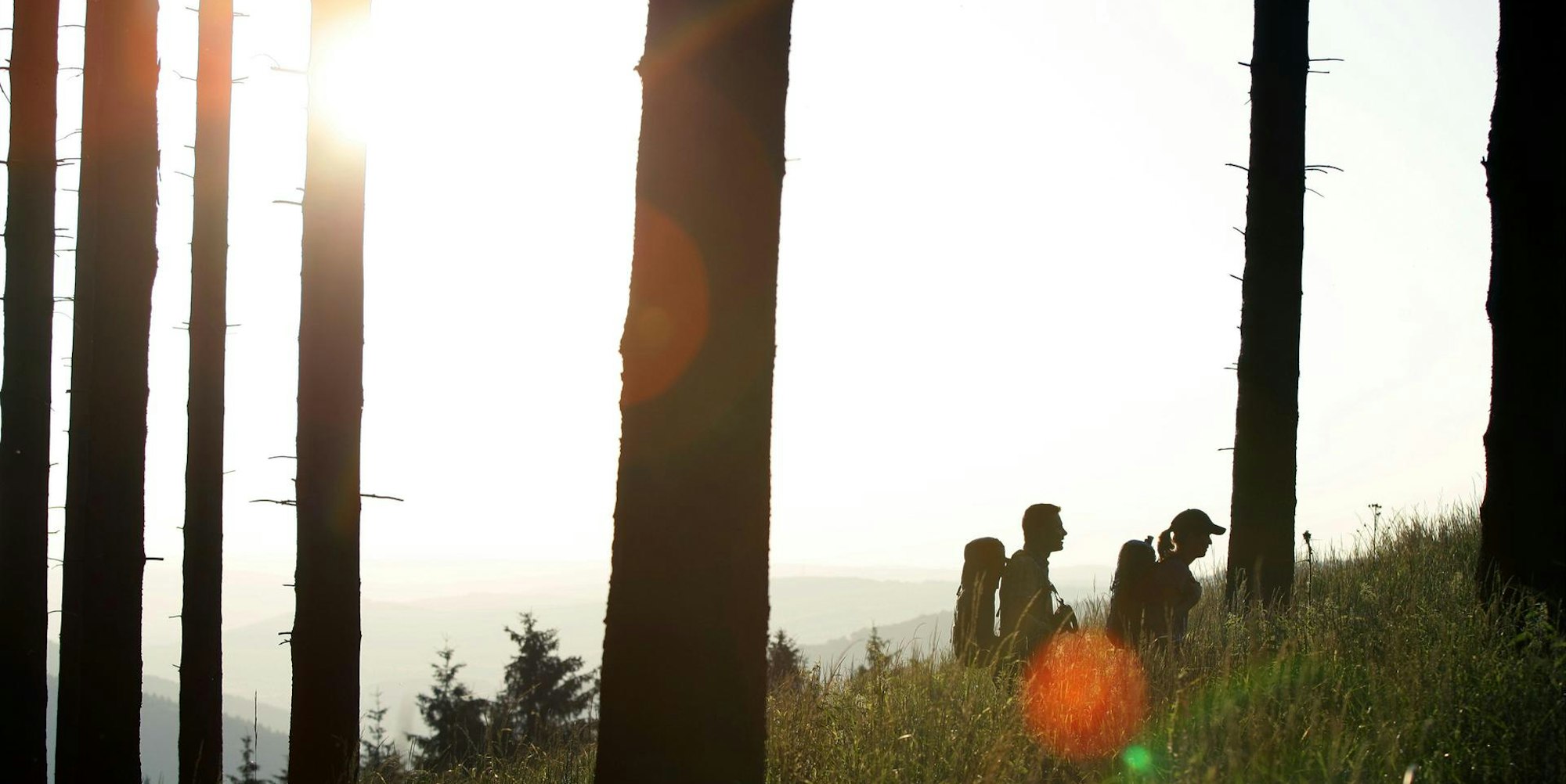 Rothaarsteig im Rothaargebirge