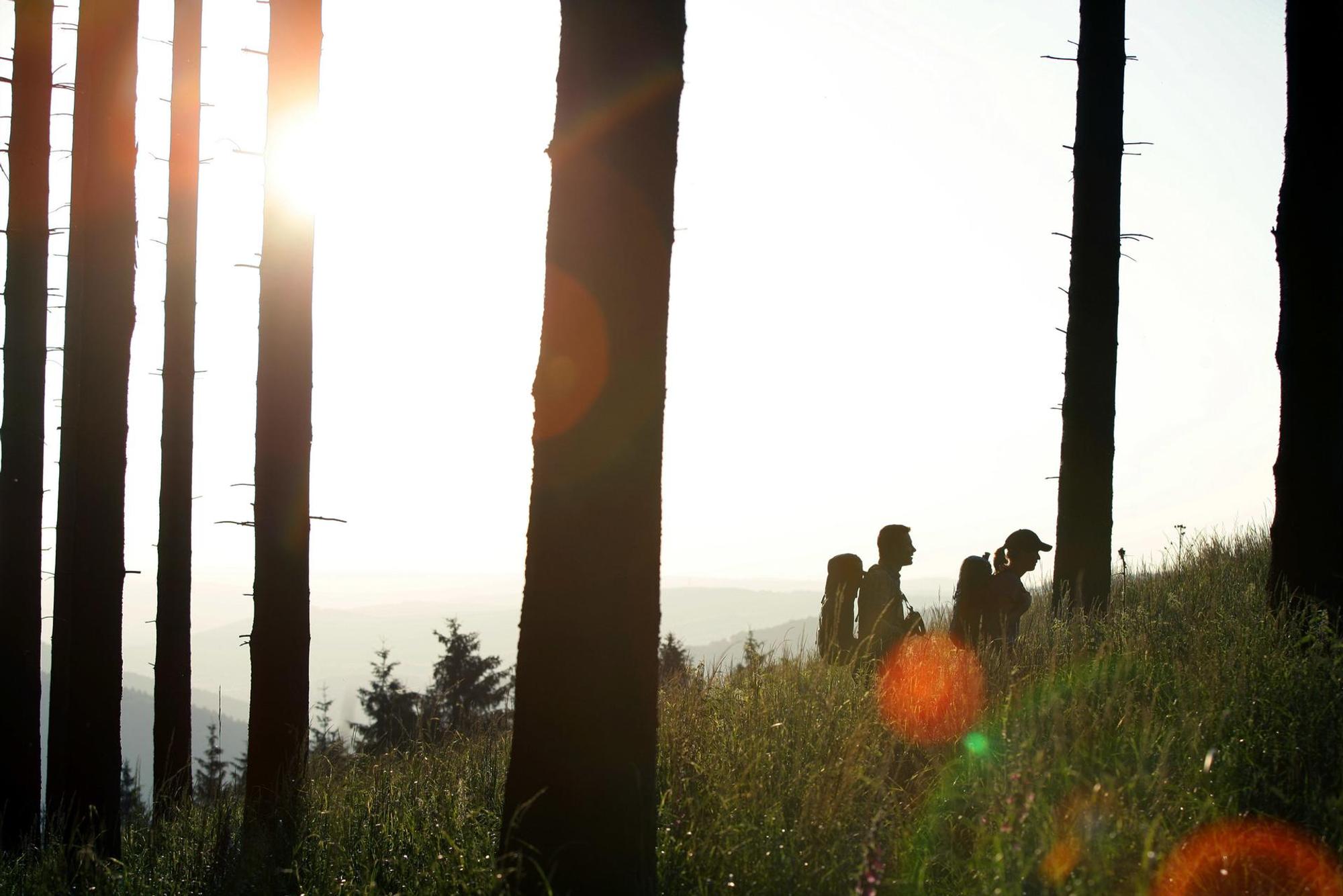 Rothaarsteig im Rothaargebirge