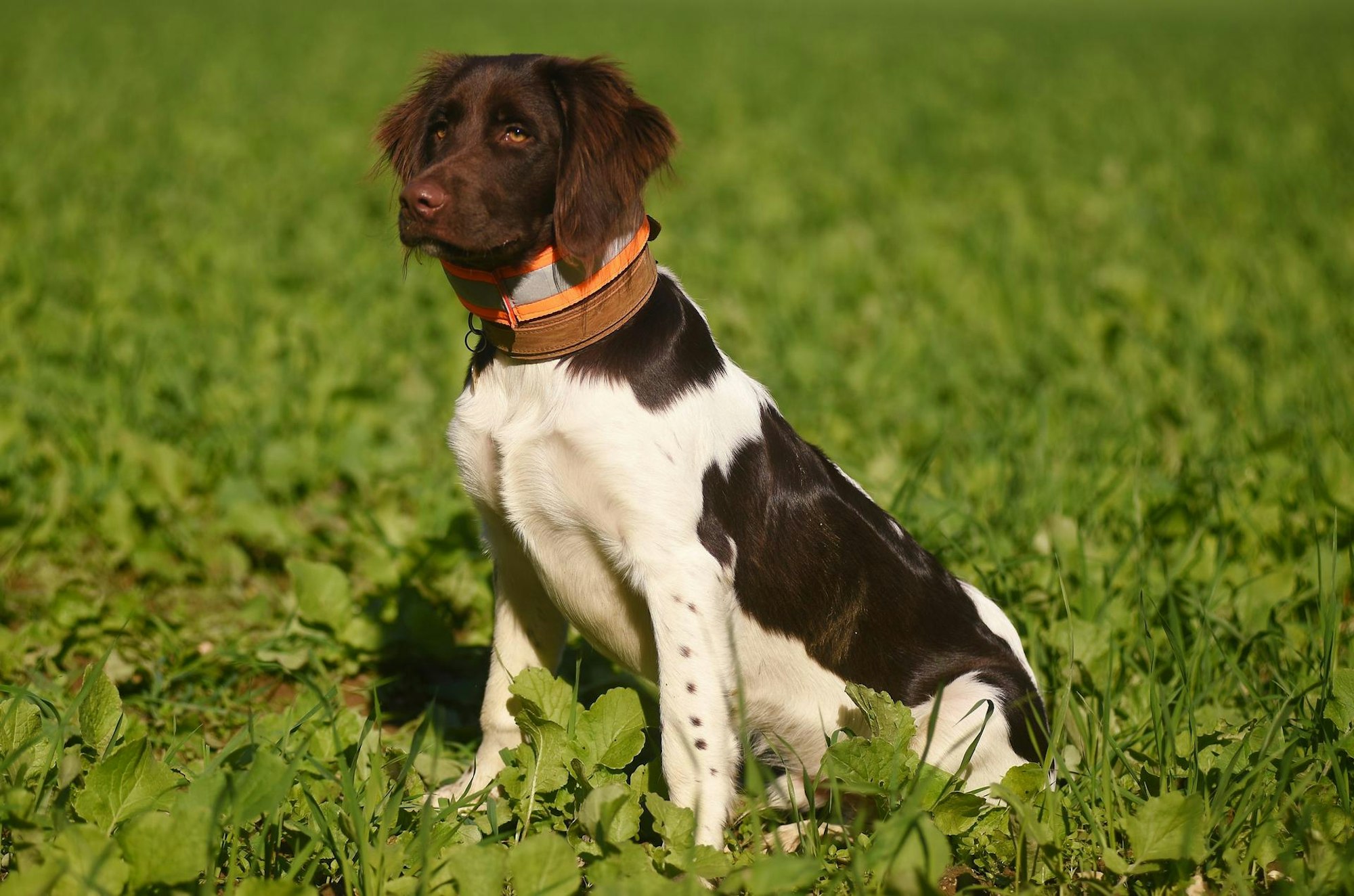 20211008-RAK-Jaegerin-020