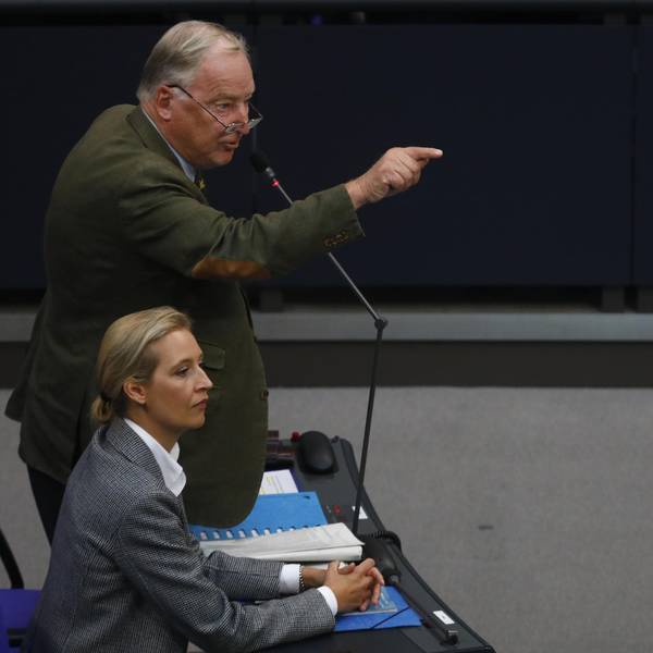 Weidel Gauland Bundestag